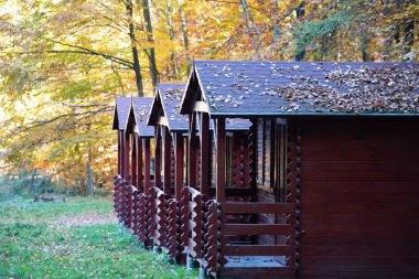 Sonbahar manzarası. Sarı sonbahar ağaçları arasında küçük ahşap bir ev.