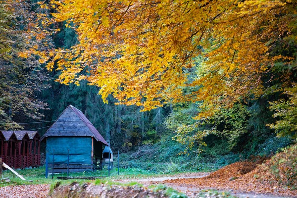 Jesienny Krajobraz Mały Drewniany Domek Wśród Żółtych Jesiennych Drzew — Zdjęcie stockowe