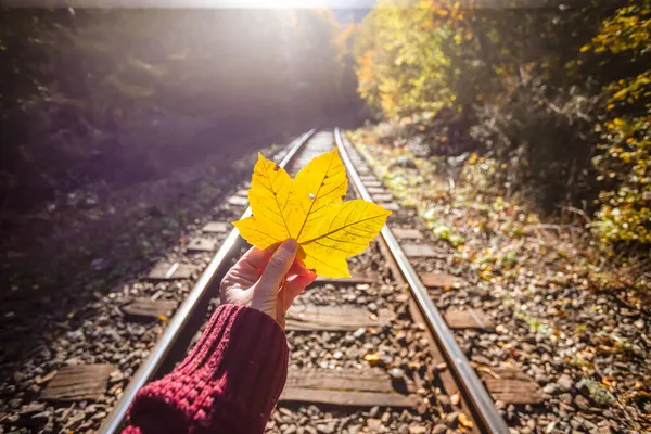 Stimmungsvolles Foto Der Hand Mit Gelbem Ahornblatt Auf Dem Hintergrund — Stockfoto