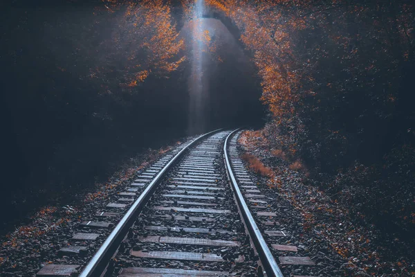 Vasúti Pályák Őszi Erdőben — Stock Fotó
