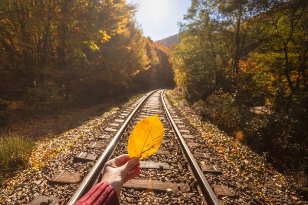 Moody Foto Mano Sosteniendo Hoja Arce Amarillo Fondo Del Tren —  Fotos de Stock