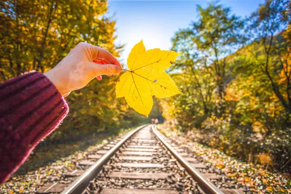 秋の鉄道を背景に黄色のカエデの葉を持つ手のムーディー写真 — ストック写真