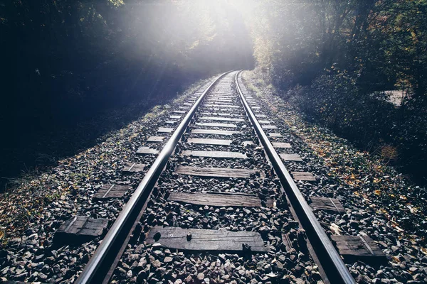 Железнодорожные Пути Осеннем Лесу — стоковое фото
