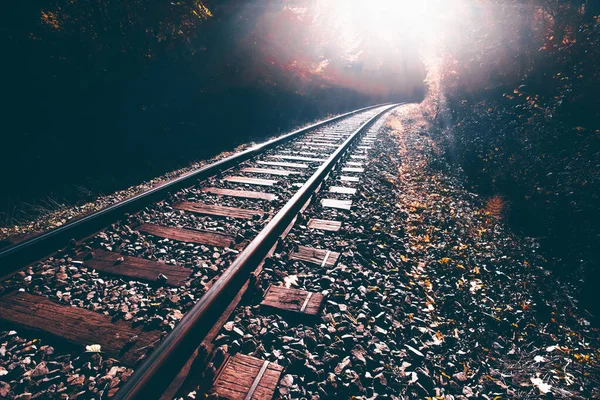 Bahngleise Herbstwald — Stockfoto