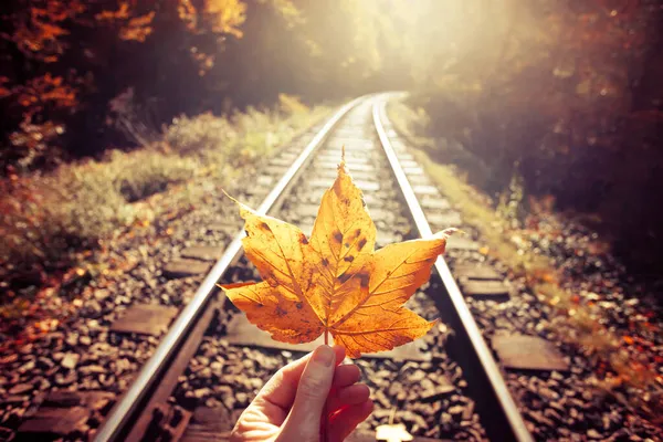 秋季铁路背景下手持黄枫叶的情色照片 — 图库照片