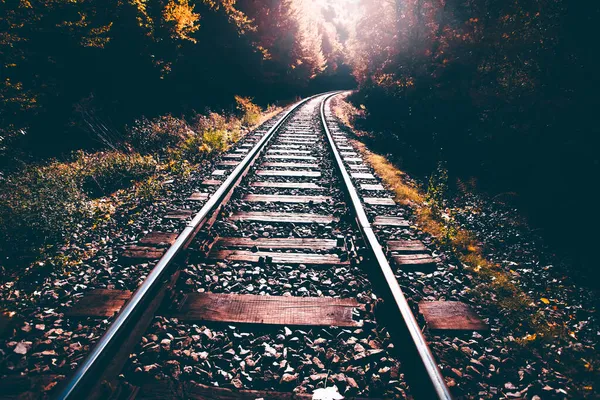 Bahngleise Herbstwald — Stockfoto