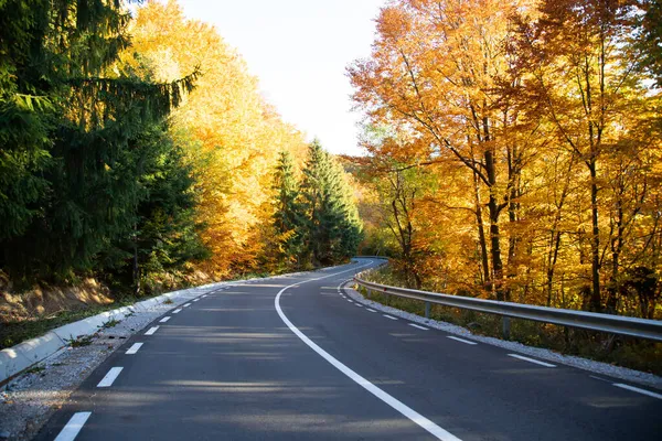 Estrada Curva Floresta Outono — Fotografia de Stock