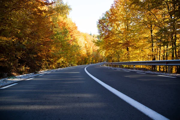 Estrada Curva Floresta Outono — Fotografia de Stock