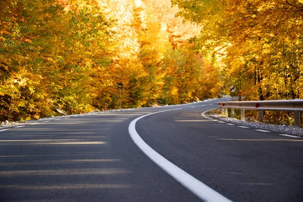 Estrada Curva Floresta Outono — Fotografia de Stock
