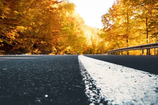 Kurvenreiche Straße Herbstwald — Stockfoto