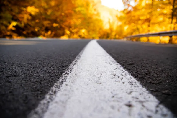 Kurvenreiche Straße Herbstwald — Stockfoto