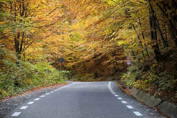 Κάμπτοντας Δρόμο Στο Φθινόπωρο Δάσος — Φωτογραφία Αρχείου