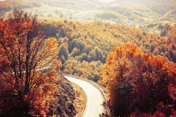 Outono Transilvânia Paisagem Rural — Fotografia de Stock