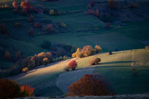 Siebenbürgische Herbstliche Landschaft — Stockfoto