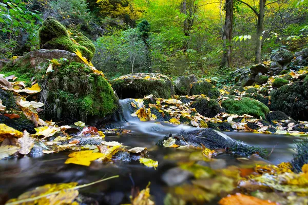 Mountain Stream Autumn Forest — Stock Photo, Image