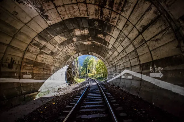 Launisches Foto Vom Eisenbahntunnel Wald — Stockfoto
