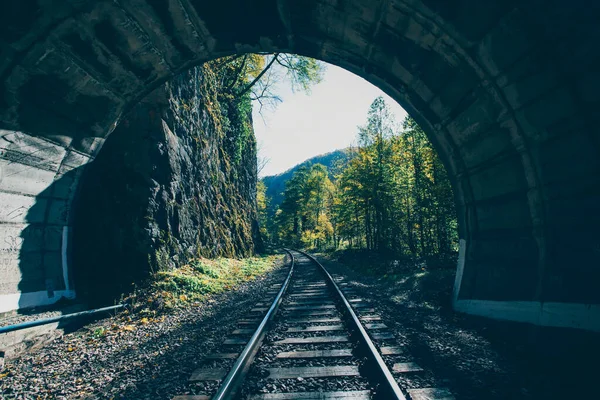 Капризное Фото Железнодорожного Тоннеля Лесу — стоковое фото