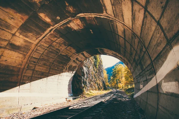 Launisches Foto Vom Eisenbahntunnel Wald — Stockfoto