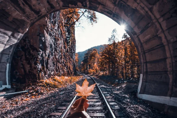 Sonbahar Treninin Arka Planında Sarı Akçaağaç Yaprağını Tutan Karamsar Fotoğraf — Stok fotoğraf