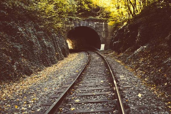 Bahngleise Herbstwald — Stockfoto