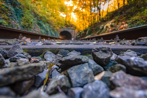 Bahngleise Herbstwald — Stockfoto