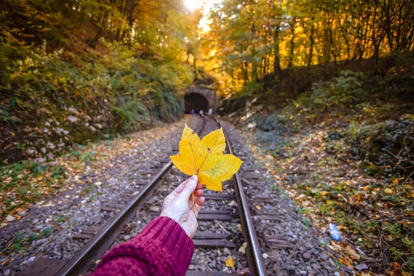 Sonbahar Treninin Arka Planında Sarı Akçaağaç Yaprağını Tutan Karamsar Fotoğraf — Stok fotoğraf