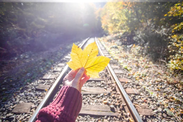 Stimmungsvolles Foto Der Hand Mit Gelbem Ahornblatt Auf Dem Hintergrund — Stockfoto