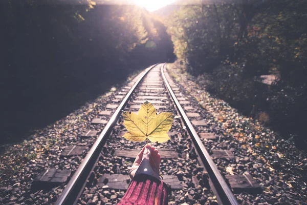 Sonbahar Treninin Arka Planında Sarı Akçaağaç Yaprağını Tutan Karamsar Fotoğraf — Stok fotoğraf