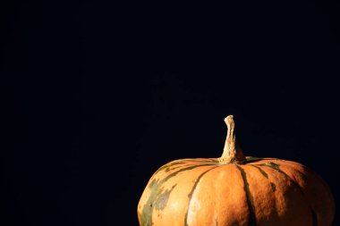 Kırsal sonbahar, balkabaklarıyla ve tahta bir masada sepetle sakin bir hayat. Cadılar Bayramı ve Şükran Günü konsepti.