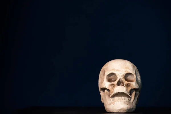 Scary Grunge Cranio Carta Parati Halloween Sfondo — Foto Stock