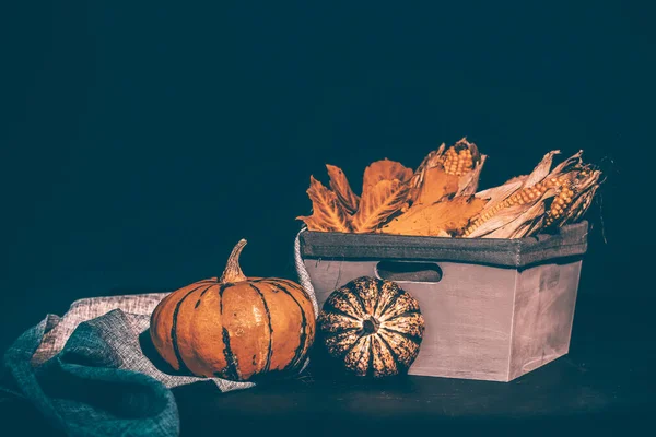 Nature Morte Automne Rustique Avec Des Citrouilles Panier Sur Une — Photo