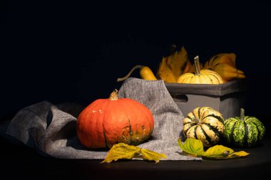 Kırsal sonbahar, balkabaklarıyla ve tahta bir masada sepetle sakin bir hayat. Cadılar Bayramı ve Şükran Günü konsepti.