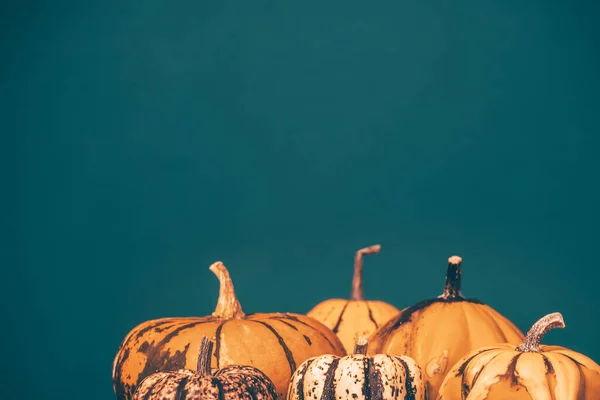 Höstpumpa Halloween Och Thanksgiving Bakgrund Orange Pumpor Över Träbord — Stockfoto