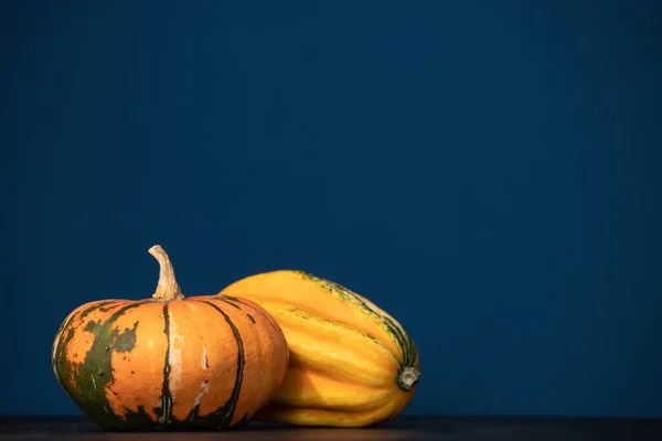 Zucca Autunno Halloween Sfondo Del Ringraziamento Zucche Arancioni Sul Tavolo — Foto Stock