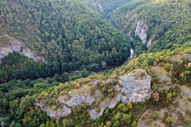 Ungurul Mare mağarası yakınlarındaki Crisul Repede nehrinin insansız hava aracı görüntüsü. Apuseni dağları, Bihor, Romanya.