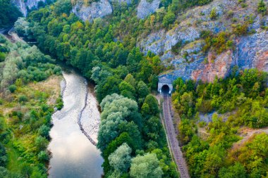 Ungurul Mare mağarası yakınlarındaki Crisul Repede nehrinin insansız hava aracı görüntüsü. Apuseni dağları, Bihor, Romanya.