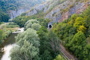 Ungurul Mare mağarası yakınlarındaki Crisul Repede nehrinin insansız hava aracı görüntüsü. Apuseni dağları, Bihor, Romanya.