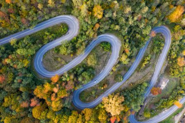 Renkli sonbahar ormanlarında kıvrımlı yol manzarası