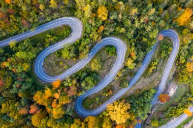 Renkli sonbahar ormanlarında kıvrımlı yol manzarası