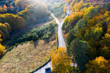 Renkli sonbahar ormanlarında kıvrımlı yol manzarası