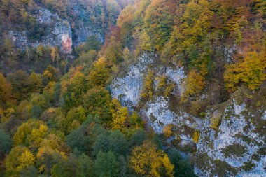Ungurul Mare mağarası yakınlarındaki Crisul Repede nehrinin insansız hava aracı görüntüsü. Apuseni dağları, Bihor, Romanya.