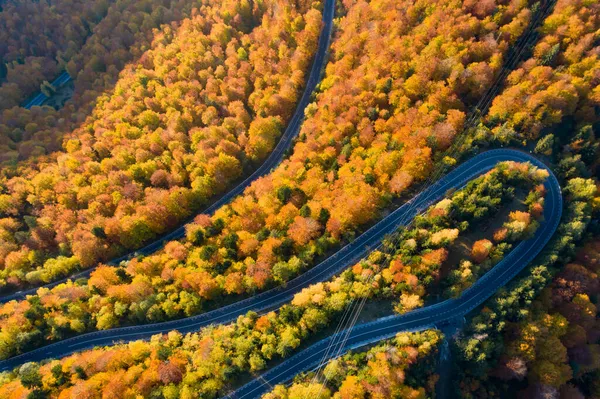 Vista Aerea Della Strada Curva Attraverso Foresta Autunnale Colorata — Foto Stock