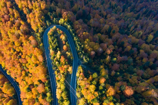 Luftaufnahme Einer Kurvenreichen Straße Durch Den Bunten Herbstwald — Stockfoto