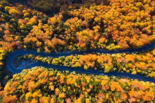 Vista Aerea Della Strada Curva Attraverso Foresta Autunnale Colorata — Foto Stock