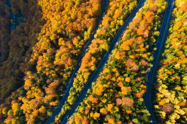 Vista Aerea Della Strada Curva Attraverso Foresta Autunnale Colorata — Foto Stock