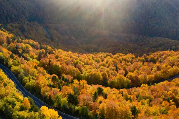 Вид Повітряний Дрон Осіннього Лісу Магічному Заході Сонця — стокове фото