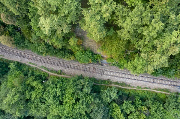 Вид Повітря Залізницю Зеленому Лісі — стокове фото