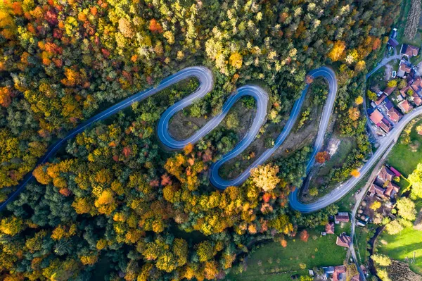 Luftaufnahme Einer Kurvenreichen Straße Durch Den Bunten Herbstwald — Stockfoto