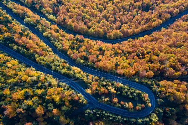 Luftaufnahme Einer Kurvenreichen Straße Durch Den Bunten Herbstwald — Stockfoto