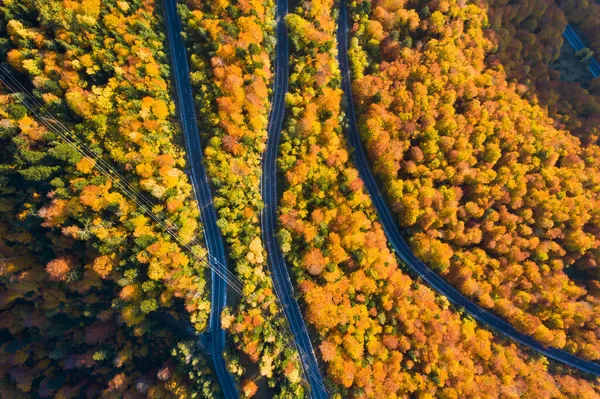 Widok Lotu Ptaka Zakrzywionej Drogi Przez Kolorowy Jesienny Las — Zdjęcie stockowe